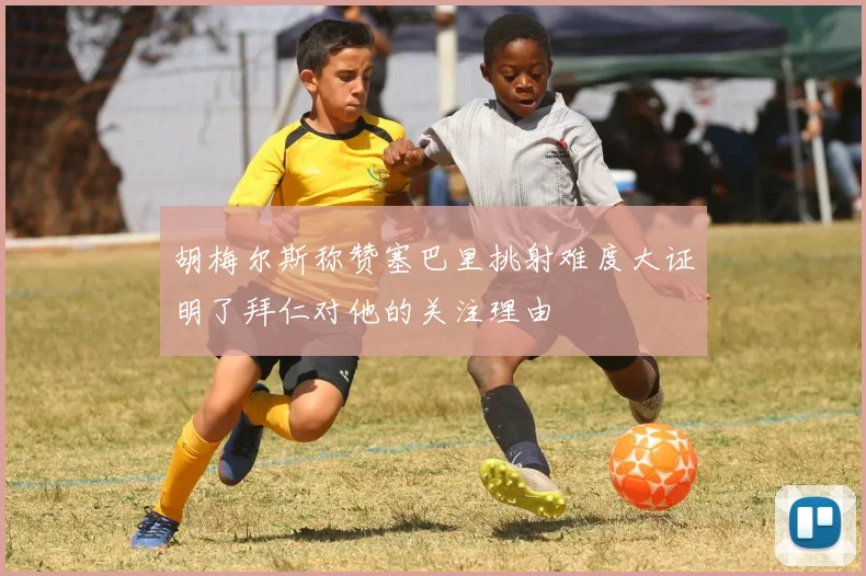 胡梅尔斯称赞塞巴里挑射难度大证明了拜仁对他的关注理由