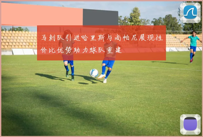 马刺队引进哈里斯与尚帕尼展现性价比优势助力球队重建