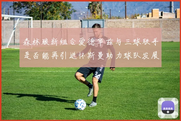 森林狼新组合爱德华兹与三球联手是否能再引进怀斯曼助力球队发展